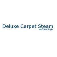 Deluxe Carpet Cleaning Brisbane image 1